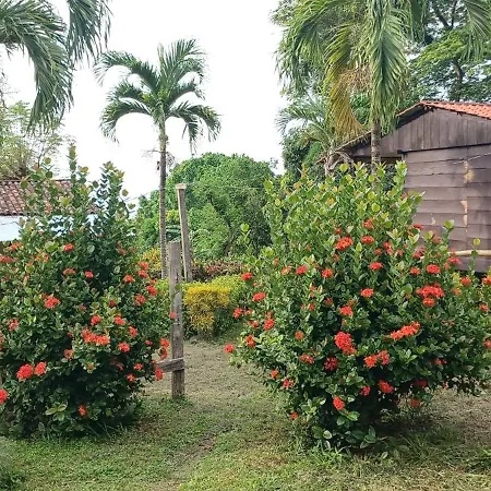 Eco Lodge Finca Magdalena Altagracia Exterior photo