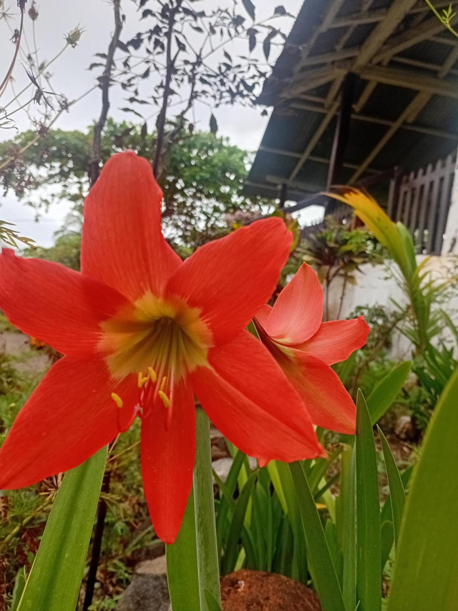 Eco Magdalena * Altagracia