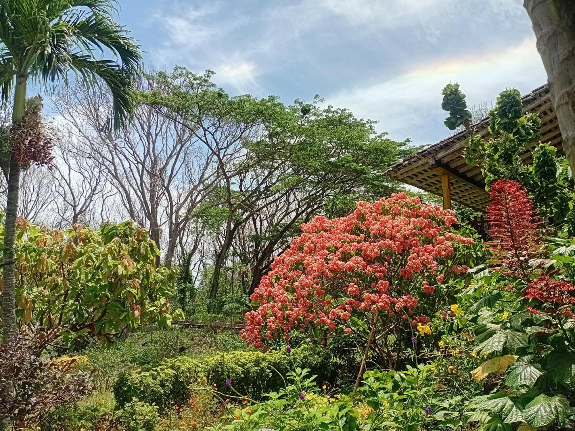 Eco Magdalena Altagracia