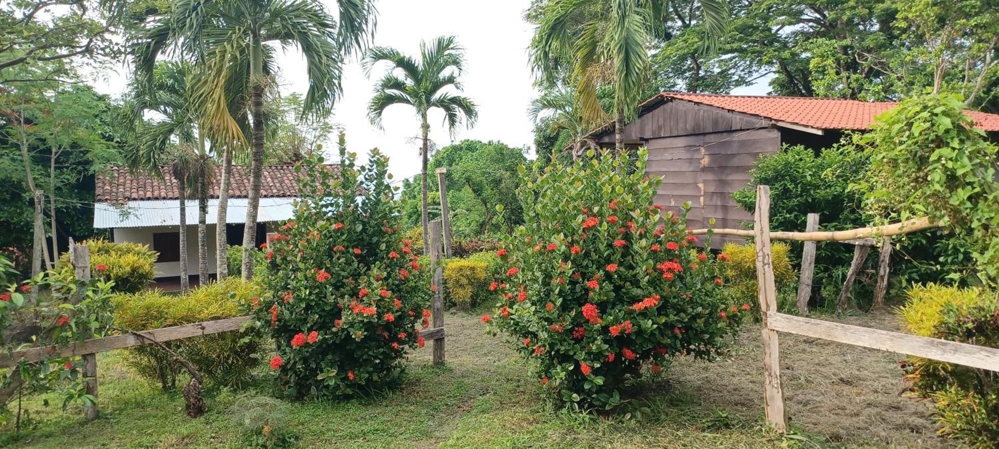 Eco Magdalena Altagracia