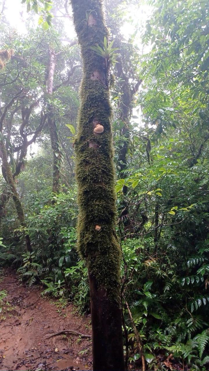 Lodge Eco Magdalena Altagracia